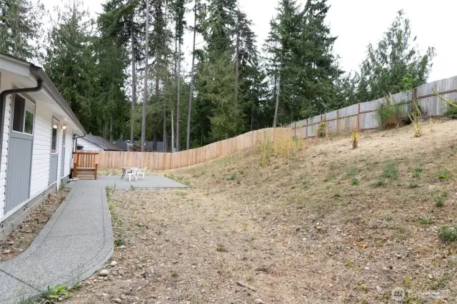 Looking east in backyard from north property line