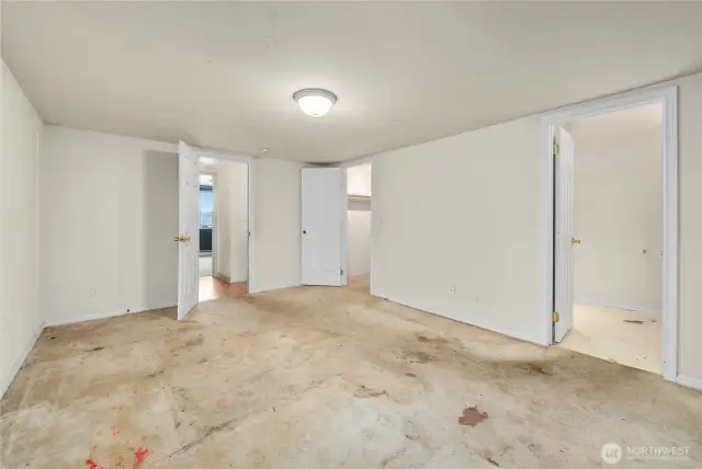 Primary bedroom - 2nd floor with walk-in closet and full bathroom.