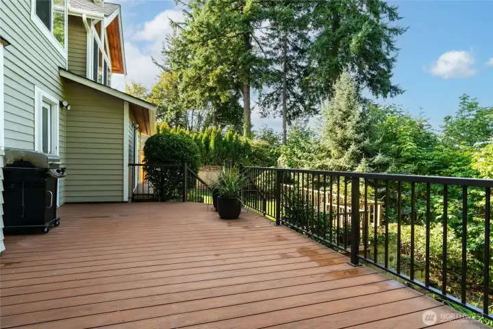 This backyard offers privacy, with no neighboring properties visible from the back deck