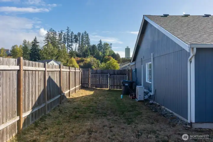 Backyard.