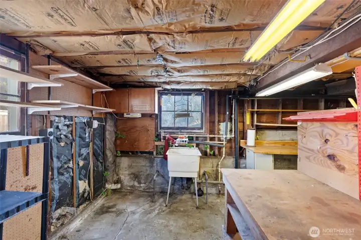 Lots of shelves for all of your hobbies in the basement!