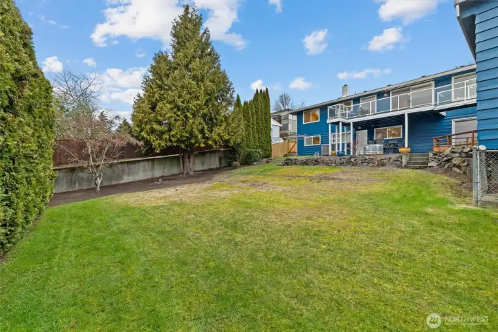 Large yard with room to play