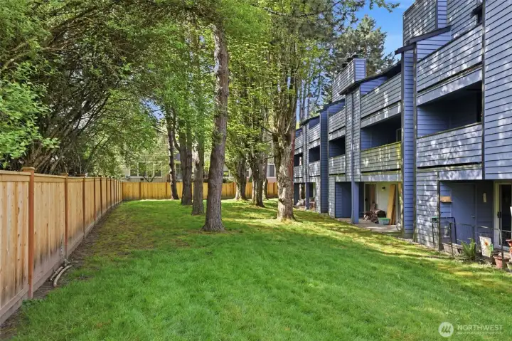 Backyard area