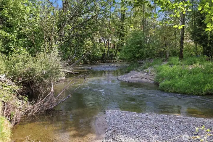 Vibrant Issaquah Creek