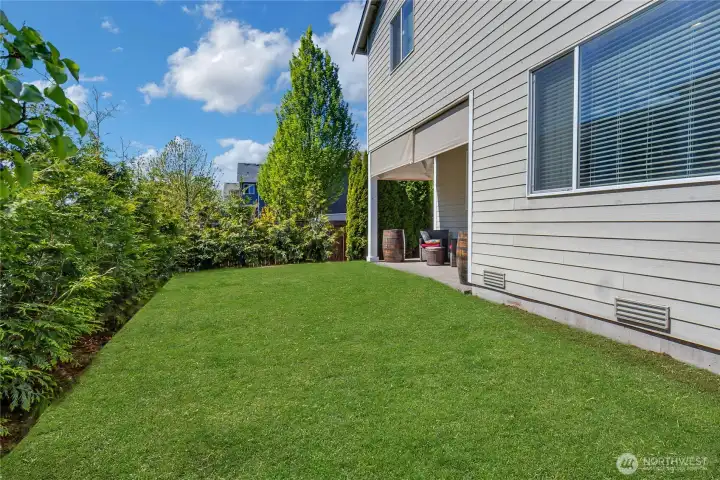 Backyard with a fully fenced yard, usable lawn space, and added privacy from the mature greenery.