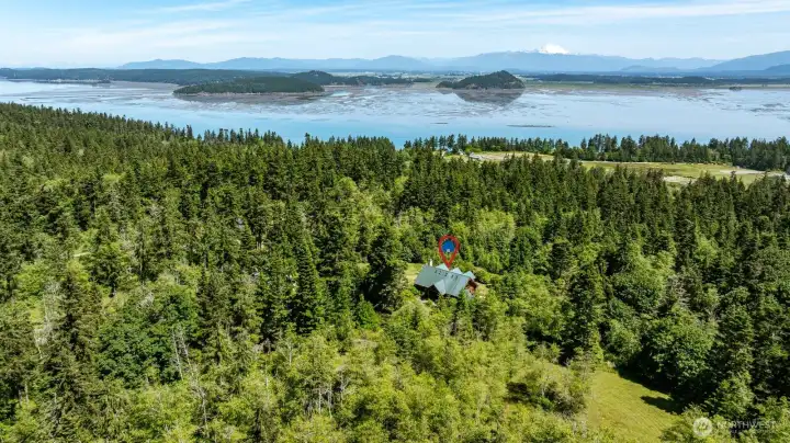 Your paradise awaits! Watch the eagles soar from your deck. Tranquility and privacy with expansive views. Close to beaches, State Parks, and Oak Harbor. Your paradise awaits! Watch the eagles soar from your deck. Tranquility and privacy with expansive views. Close to beaches, State Parks, and Oak Harbor.