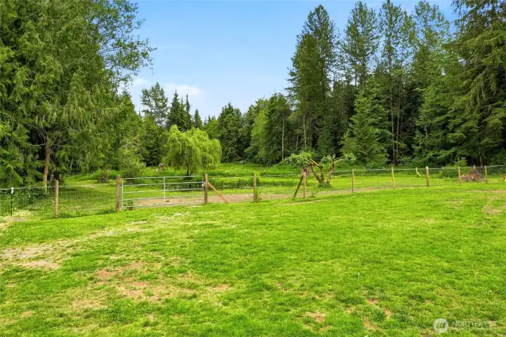 One of two pastures