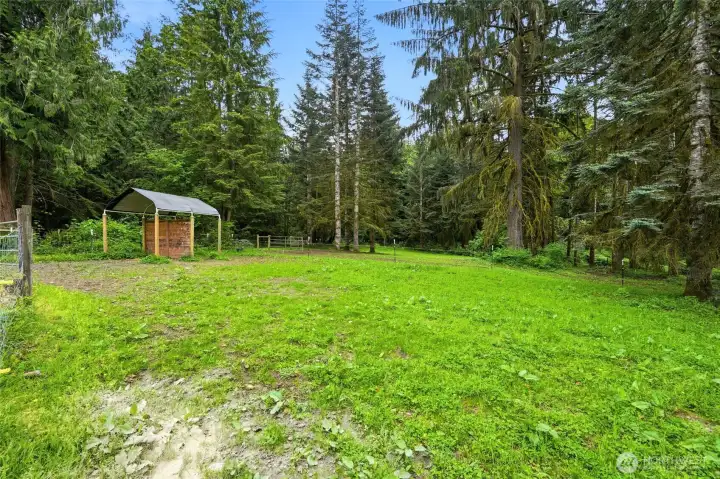 Second pasture