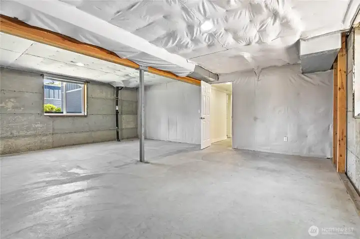 Partially Finished Basement