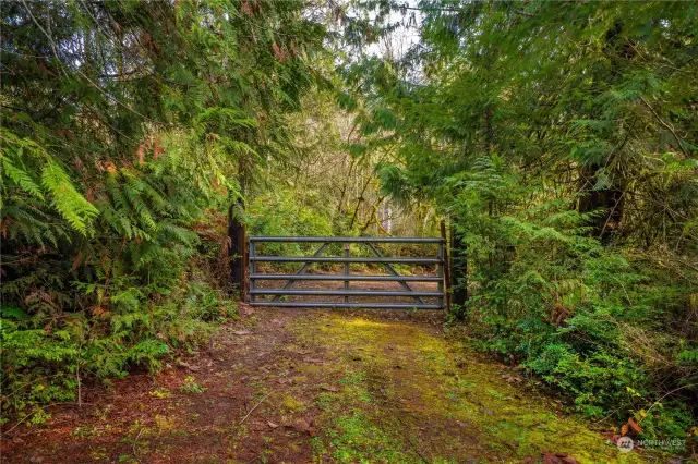 Recently cleared road leads down to view and building area.