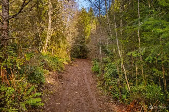 Road to building site has been recently cleared. Makes for easy walking.