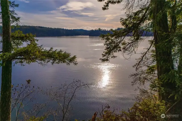 View of Pickering Passage from property.