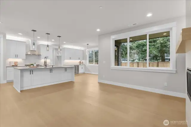 Main Level: Living / Kitchen / Dining