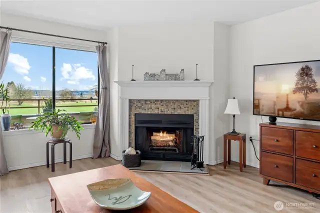 Wood burning fireplace