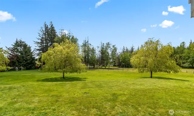 Gorgeous landscape w/ fruit trees