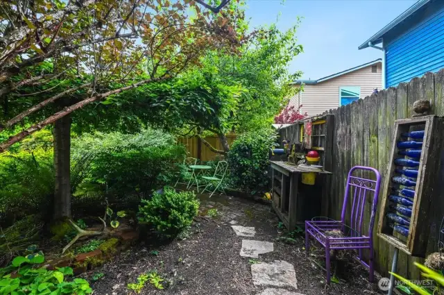 Peasceul Backyard