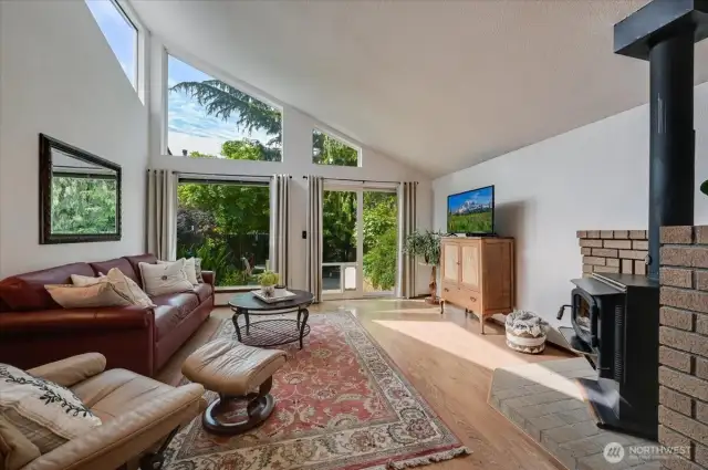 Vaulted Ceilings