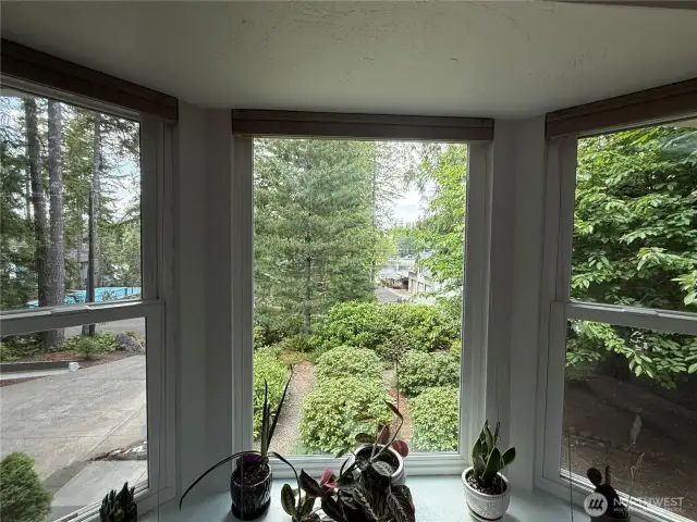 Lake view out the bay window.