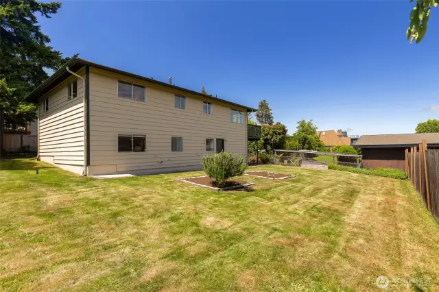 Spacious Back yard