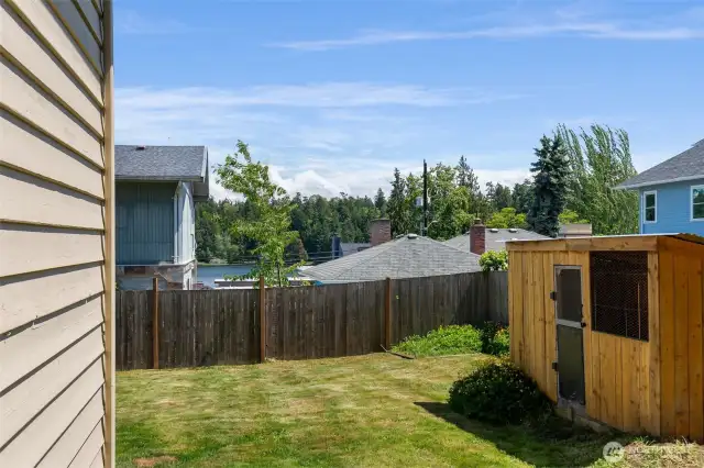 side yard with chicken coop