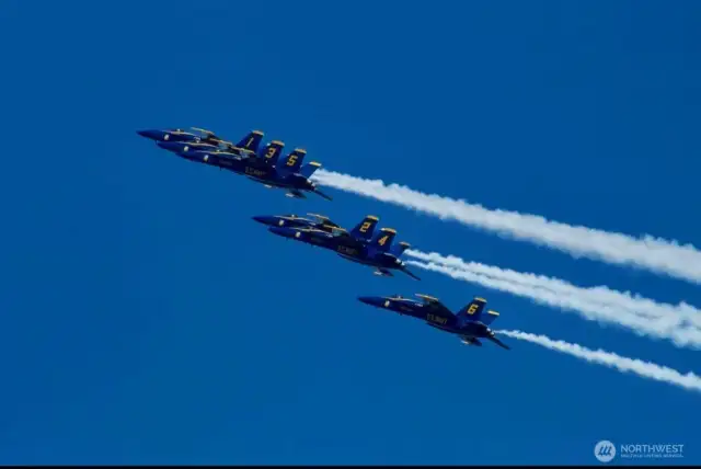 The sellers loved watching Seafair's Blue Angels