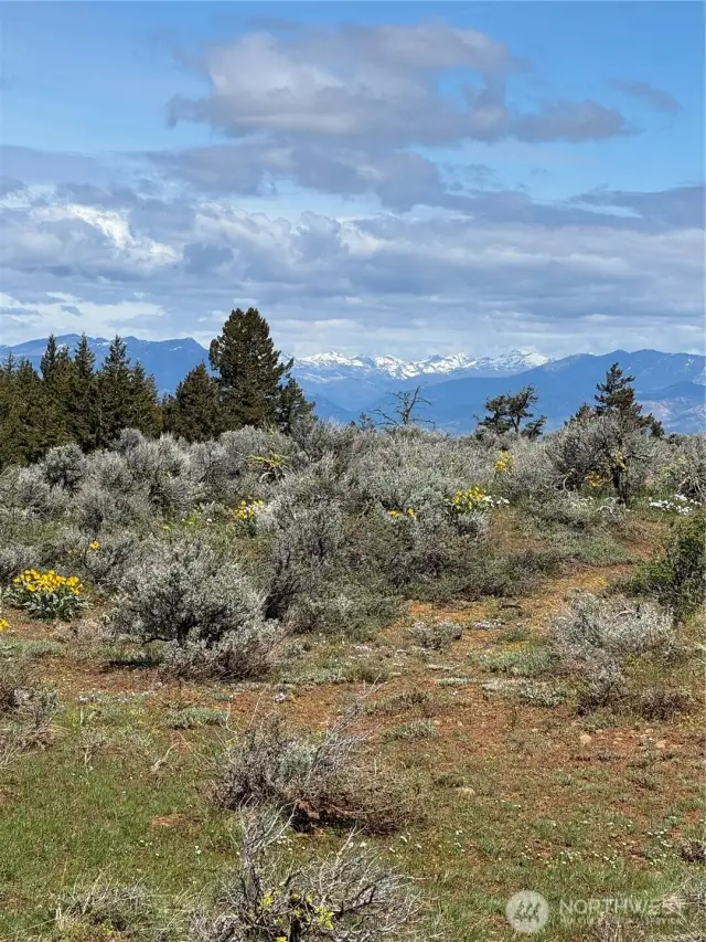 Incredible Views of the Cascades!