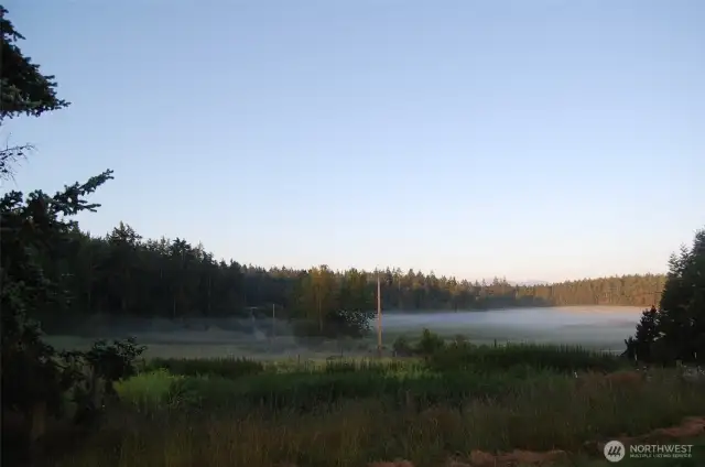 Morning fog graces the landscape view from the house.