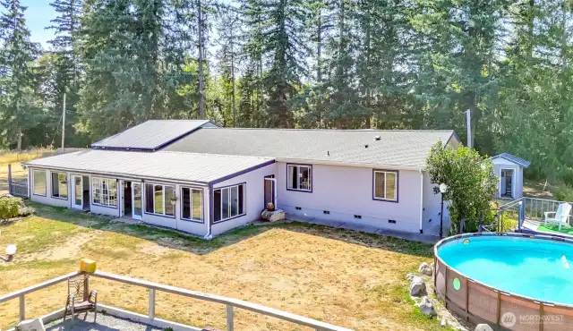 Immediate back yard.