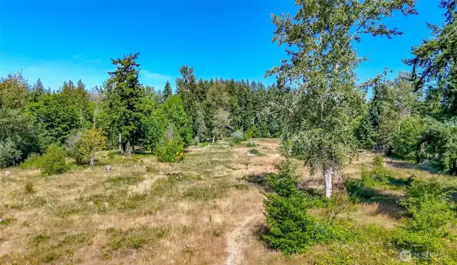 Ample pasture space formerly home of horses.