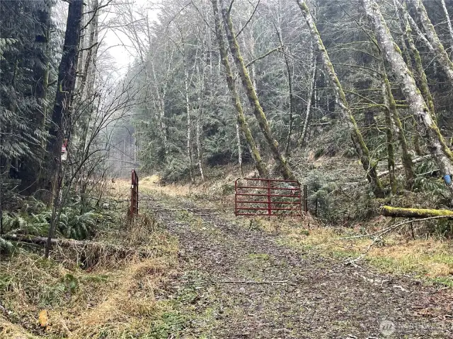 Lower Gate