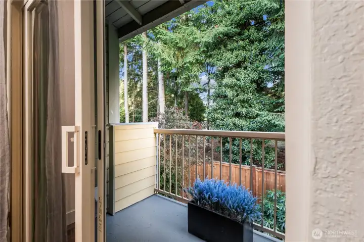 Newly Refinished Private Deck