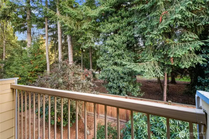 View from Private Deck