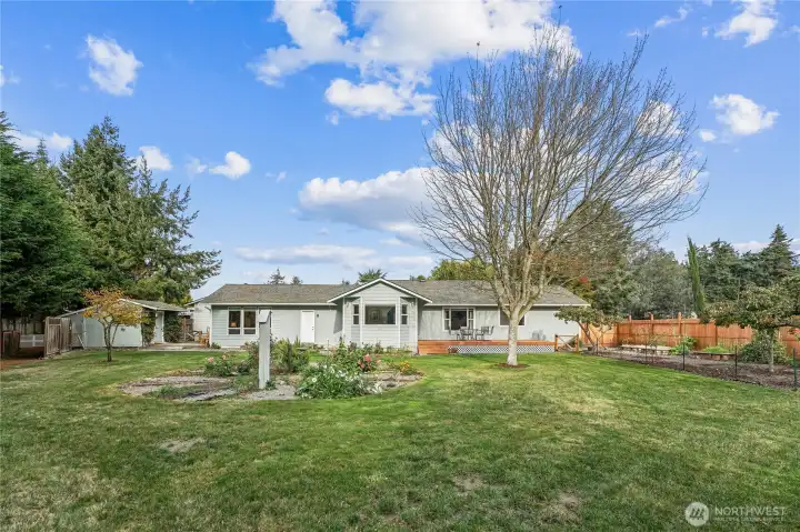 Backyard and back of the home.The property is graced with cherry, apple, and loganberry trees, along with a variety of mature trees and foliage, creating a peaceful and picturesque retreat you’ll be proud to call home.