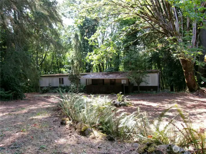 Partially cleared acreage creating a park like setting