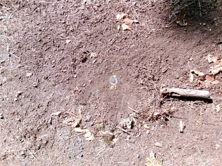 Previous survey marker