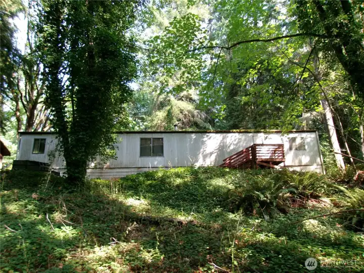 Looking up to the house from the lower clearing.