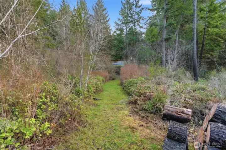 Maintained Walking trails snake throughout the back yard, leading to fire pit areas, a creek and a small clearing.