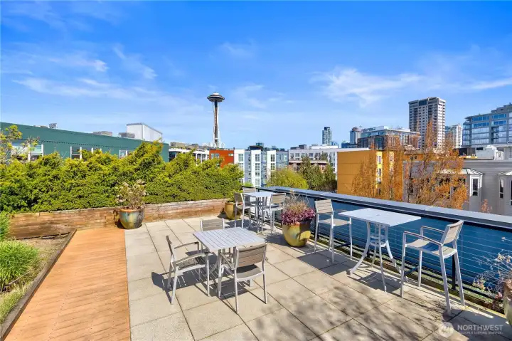 View from the rooftop.