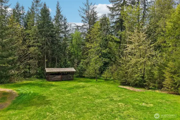 Peaceful backyard with room to roam