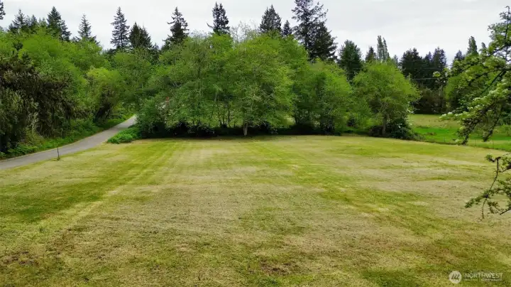 Pasture