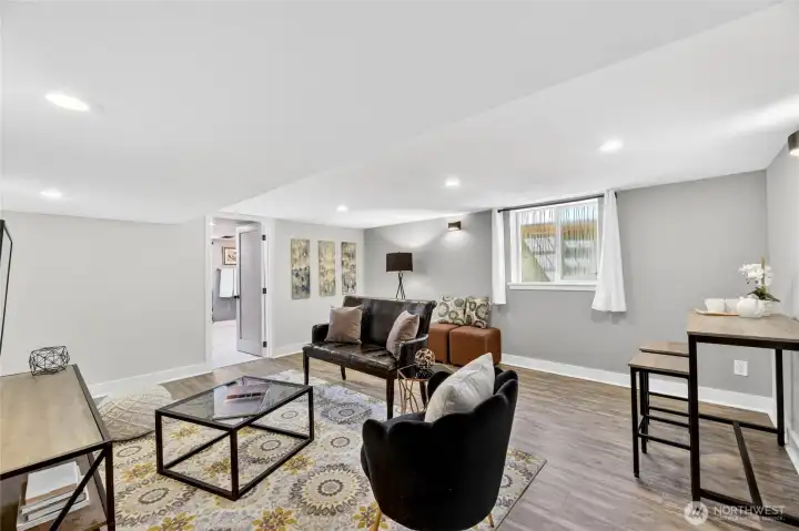 Lower level living area