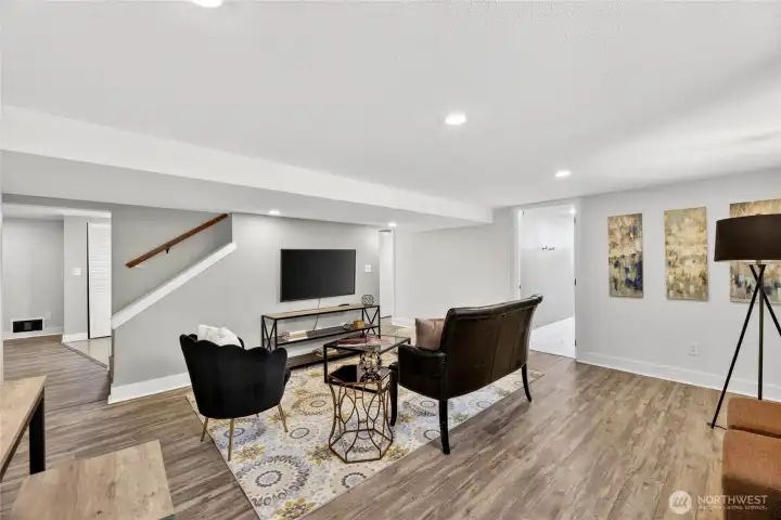 Lower level living area