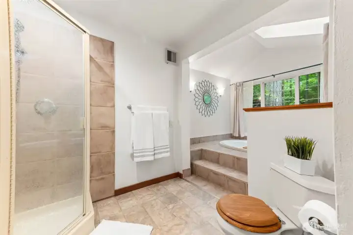 primary bathroom walk-in shower and soaking tub