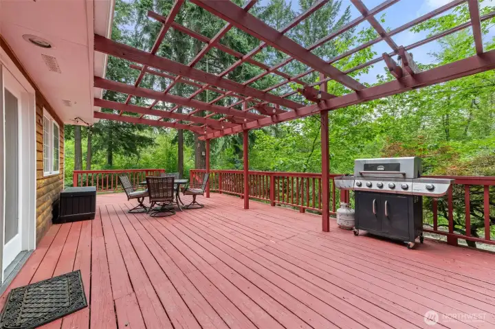 large back deck, with grill, table, and storage that stays with the home