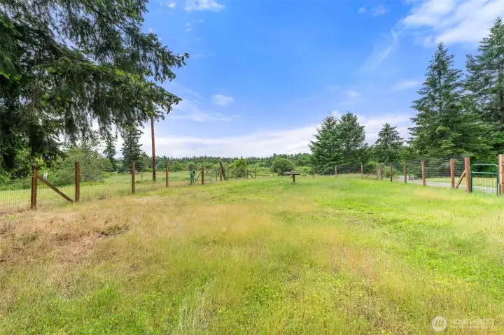 fenced in area, leading to the orchard