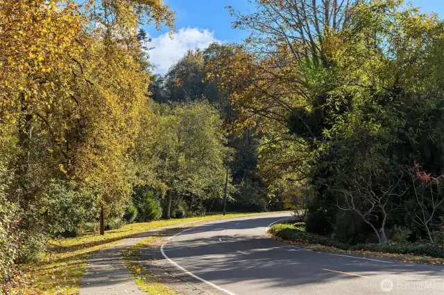 Let's explore some of Normandy Park highlights as such sidewalks great for safe strolls with furry friends.