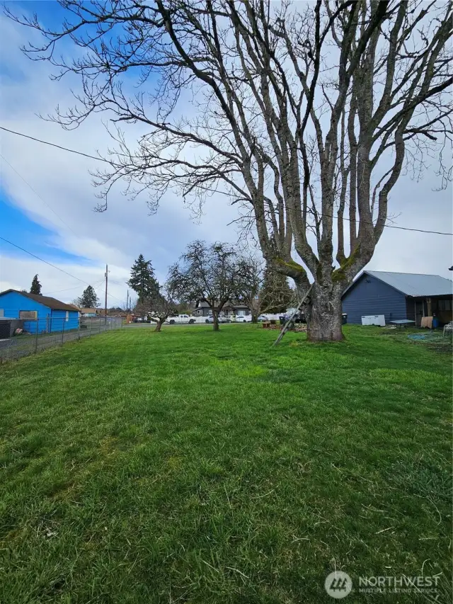 Backyard with detached garage to the right