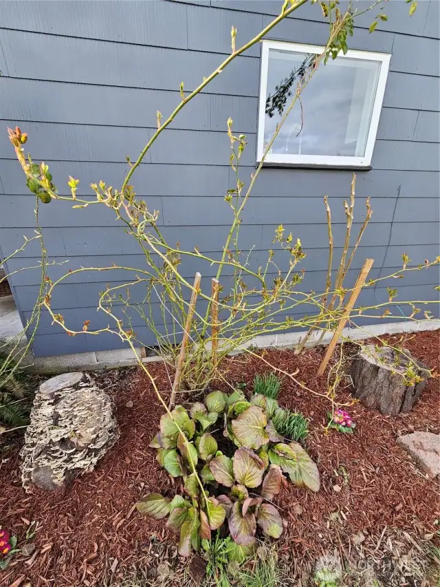 Veteran landscaping