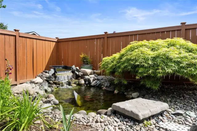 Water Feature