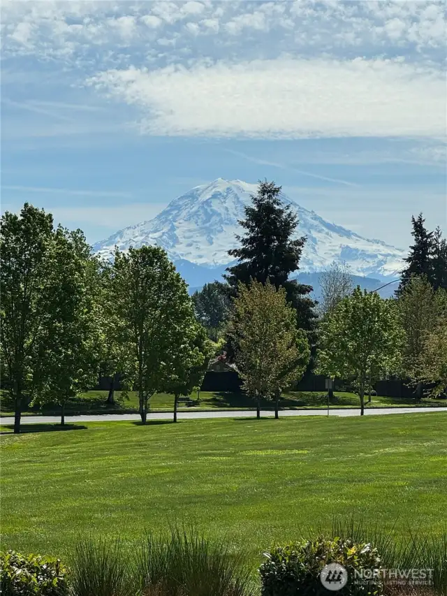 Gorgeous views of Mt. Rainier from all around the neighborhood.
